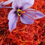 Acceptance of Iranian saffron standards by European countries