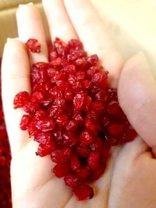 Iranian barberry