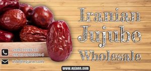 Iranian jujube wholesale